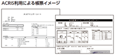 ACRIS利用による帳票イメージ