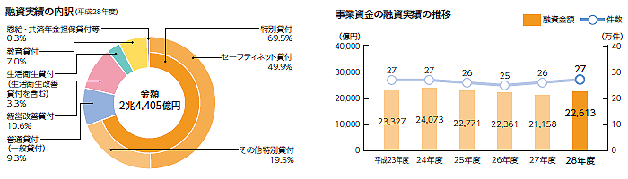 融資実績の内訳/事業資金の融資実績の推移