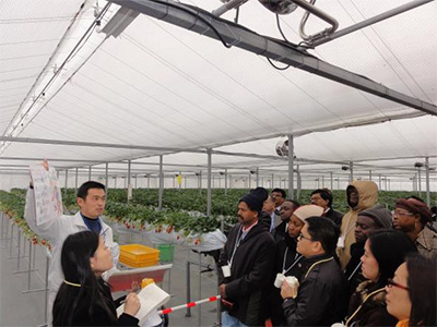Figures in Asian and African agricultural finance inspect advanced agriculture activities in Hyogo Prefecture