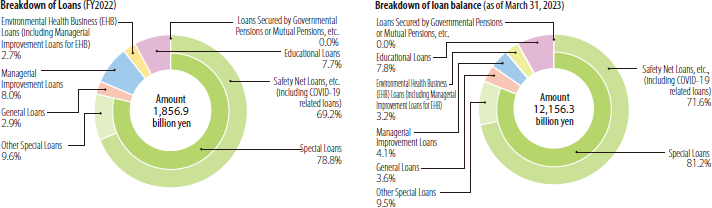 Breakdown of Loans/Breakdown of loan balance