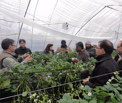 Figures in Asian and African agricultural finance inspect advanced agriculture activities in Hiroshima Prefecture