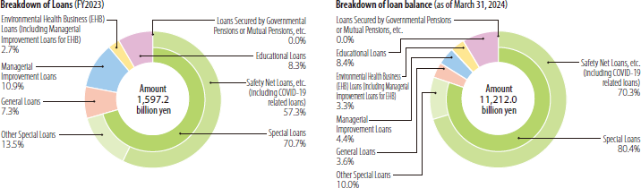 Breakdown of Loans/Breakdown of loan balance