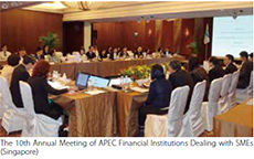 The 10th Annual Meeting of APEC Financial Institutions Dealing with SMEs
(Singapore)