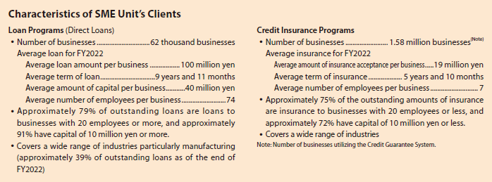 Characteristics of SME Unit's Clients Loan Programs (Direct Loans)
