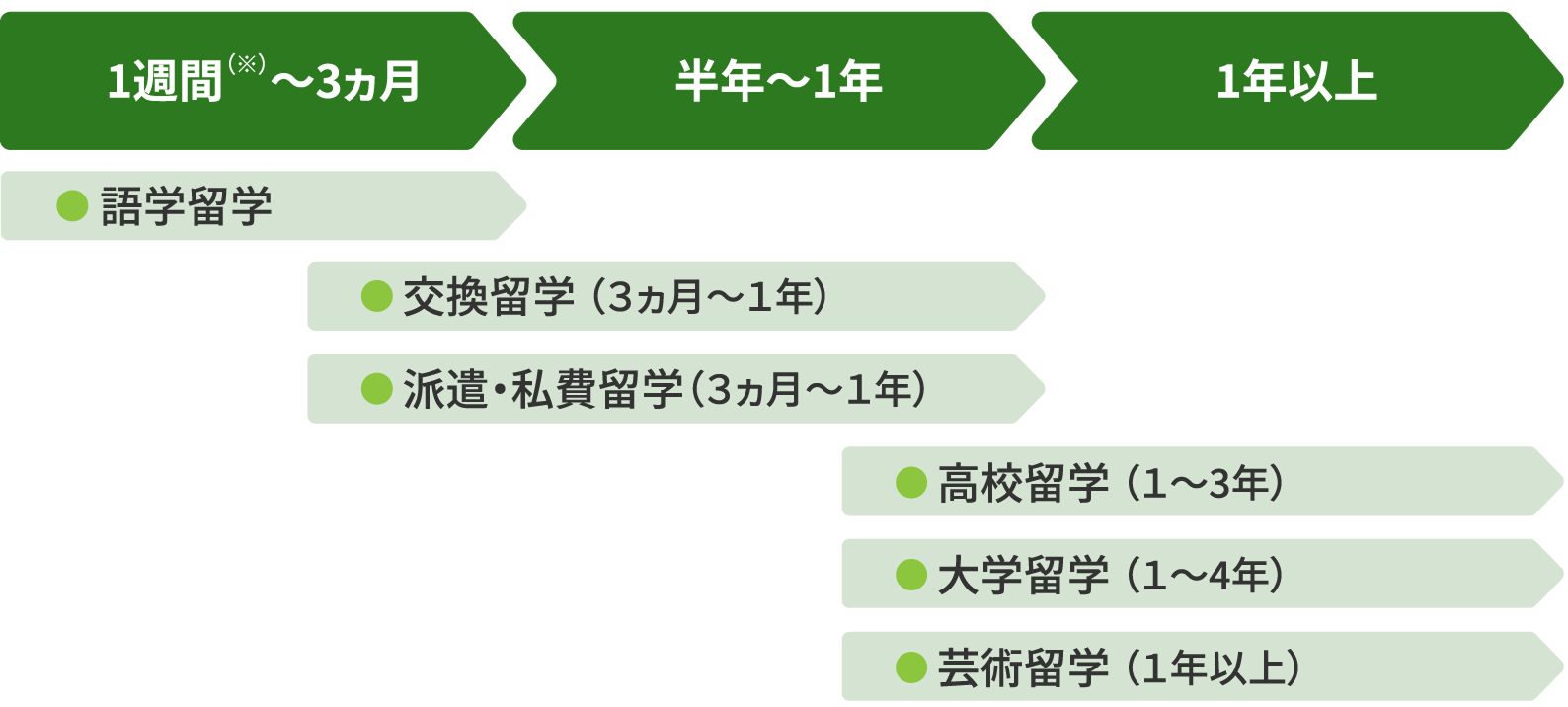 「留学スタイル別」留学期間一覧 1週間（※）～3カ月の語学留学、半年～1年の交換留学・派遣留学、1年以上の高校留学・大学留学・芸術留学