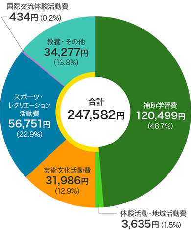 公立小学校の学校外活動費に占める「補助学習費」「その他の学校外活動費」（合計247,582円）の内訳円グラフ　補助学習費120,499円（48.7%）、その他の学校外活動費のうち体験活動・地域活動費3,635円（1.5%）、芸術文化活動費31,986円（12.9%）、スポーツ・レクリエーション活動費56,751円（22.9%）、国際交流体験活動費434円（0.2%）、教養・その他34,277円（13.8%）