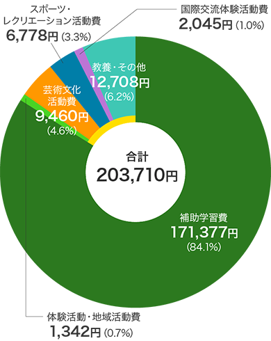 公立高等学校（全日制）の学校外活動費に占める「補助学習費」「その他の学校外活動費」（合計203,710円）の内訳円グラフ　補助学習費171,377円（84.1%）、その他の学校外活動費のうち体験活動・地域活動費1,342円（0.7%）、芸術文化活動費9,460円（4.6%）、スポーツ・レクリエーション活動費6,778円（3.3%）、国際交流体験活動費2,045円（1.0%）、教養・その他12,708円（6.2%）