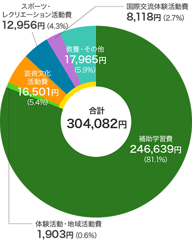 私立高等学校（全日制）の学校外活動費に占める「補助学習費」「その他の学校外活動費」（合計304,082円）の内訳円グラフ　補助学習費246,639円（81.1%）、その他の学校外活動費のうち体験活動・地域活動費1,903円（0.6%）、芸術文化活動費16,501円（5.4%）、スポーツ・レクリエーション活動費12,956円（4.3%）、国際交流体験活動費8,118円（2.7%）、教養・その他17,965円（5.9%）