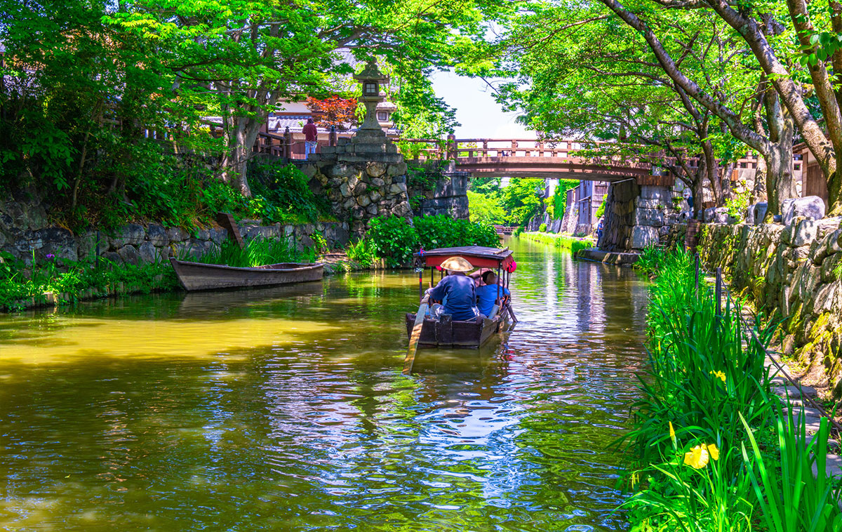 近江八幡の水郷