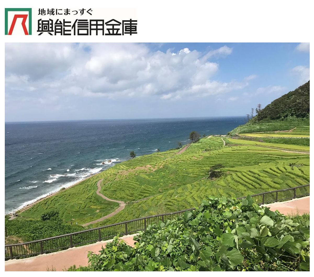 興能信用金庫