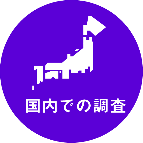 国内での調査