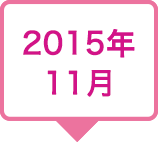 2015年11月