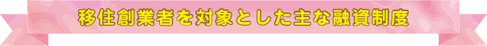 移住創業者を対象とした主な融資制度