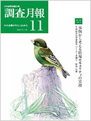 調査月報 2020年11月号