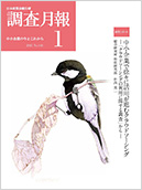 調査月報 2021年1月号