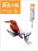 調査月報 2021年6月号