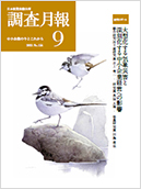 調査月報 2021年9月号