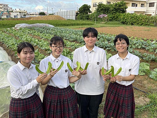 沖縄県立中部農林高等学校