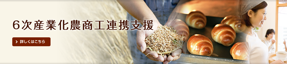 メイン)６次産業化農商工連携支援