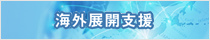 メイン)海外展開支援