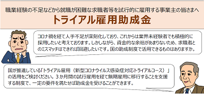 「トライアル雇用助成金」活用のポイント