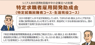 「特定求職者雇用開発助成金（特定就職困難者コース・生涯現役コース）」活用のポイント